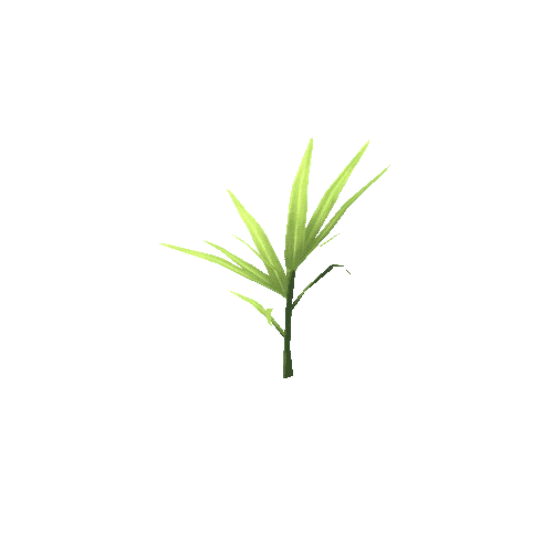 Plant_C_08