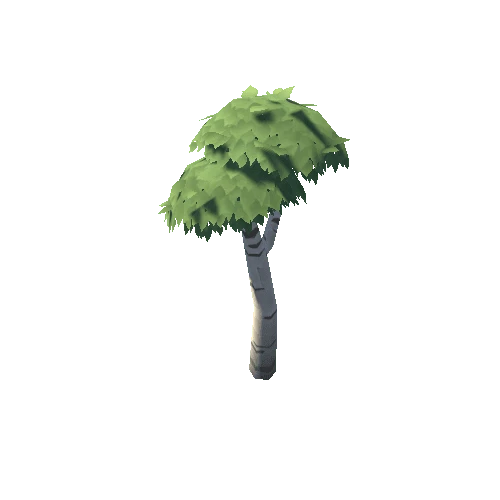 Tree_Birch_01