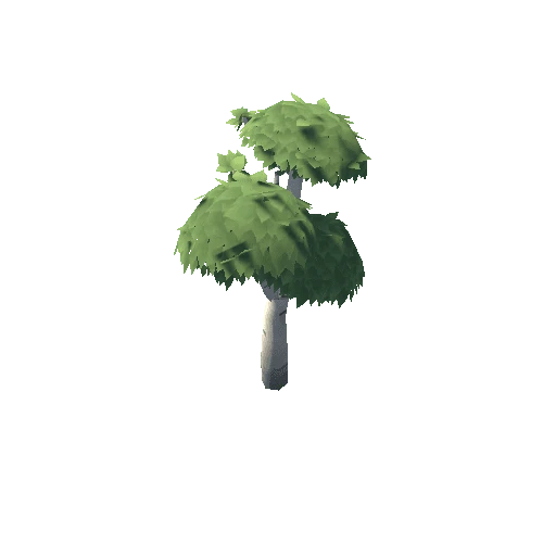 Tree_Birch_02