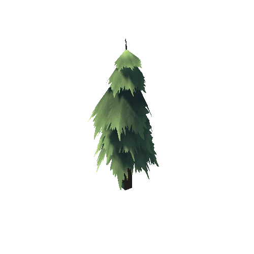 Tree_Fir_01