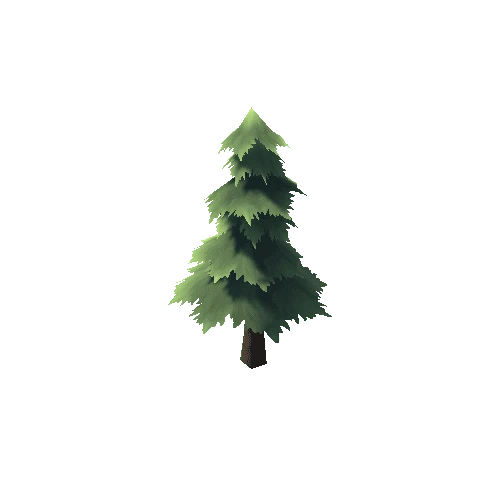 Tree_Fir_03