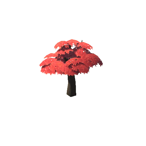 Tree_Maple_03