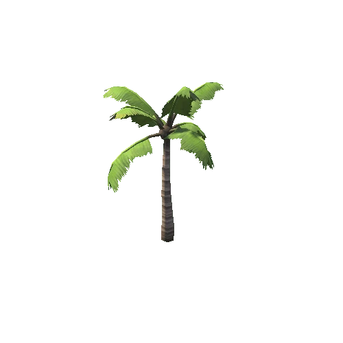 Tree_Palm_02