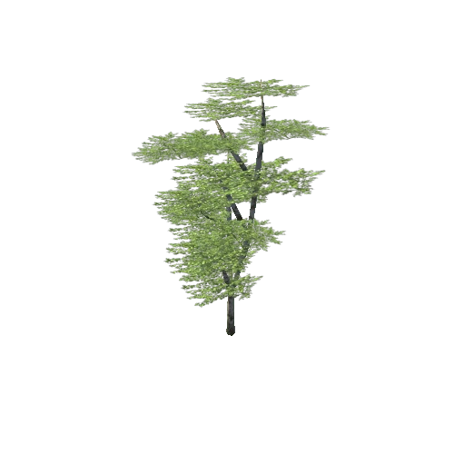 Prefab_BirchForest_StaticTree_Green_medium