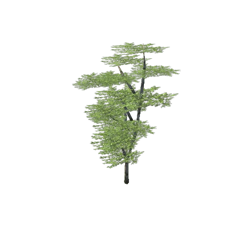 Prefab_BirchForest_Tree_Green_medium