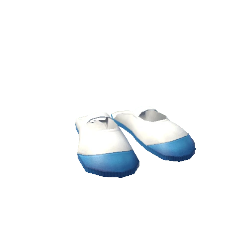 set_indoorshoes_01_b