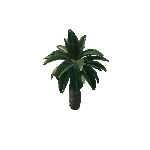 Palm05_c_Prefab