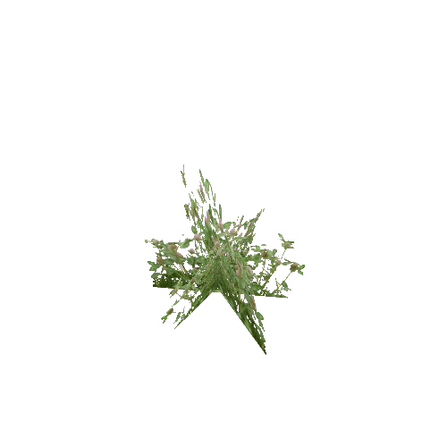 Herb-Alfalfa-Occlusion