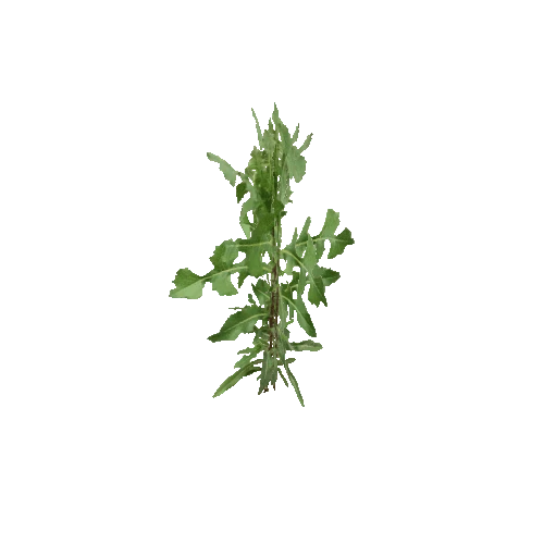 Herb-Weed3-Occlusion