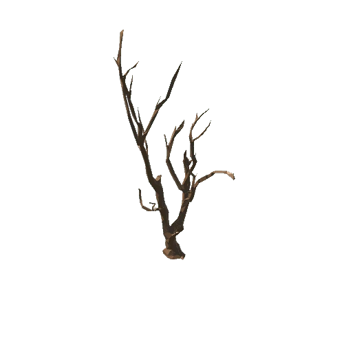 dead_tree