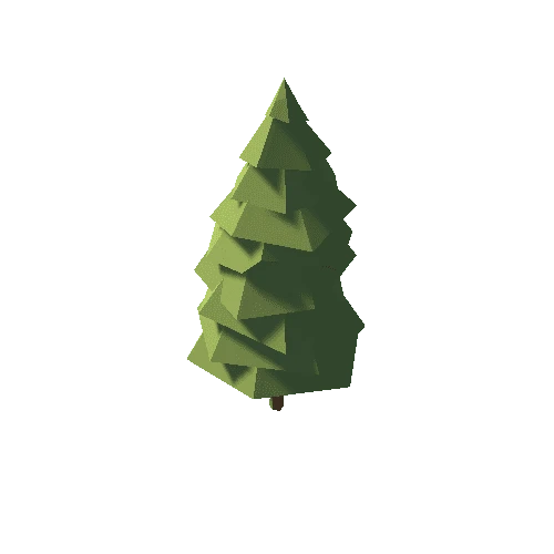 Spruce_02