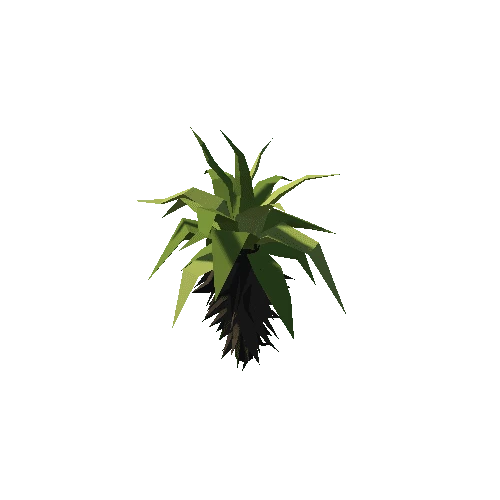 PalmBushVar1color1