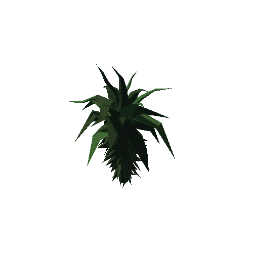 PalmBushVar1color5