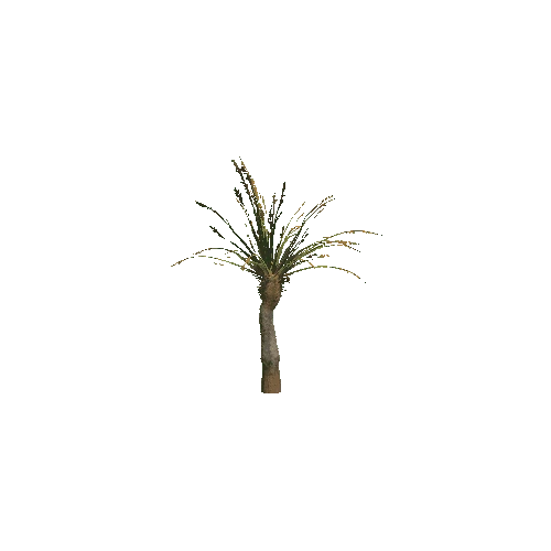 Plant_03_1