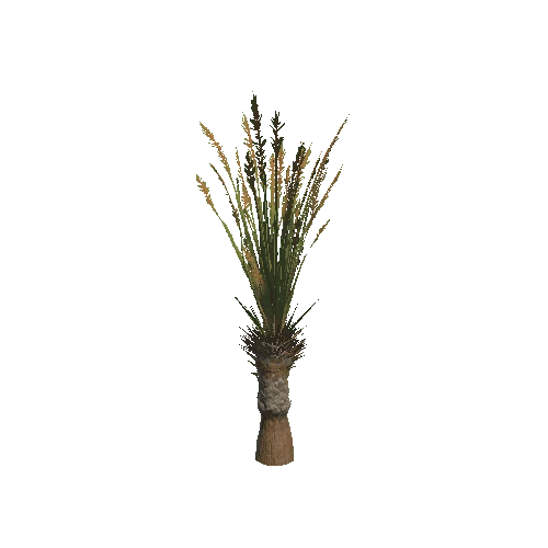 Plant_03_3