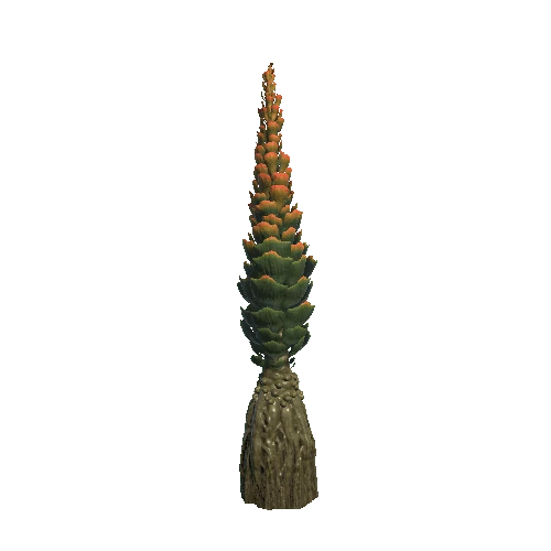 Plant_04