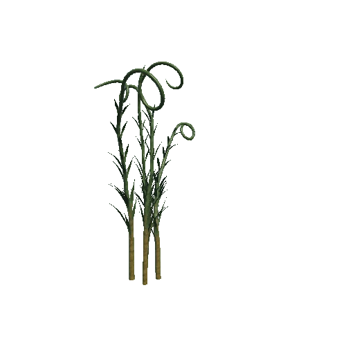 Plant_07