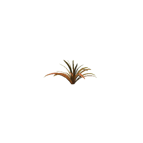 Plant_10_1