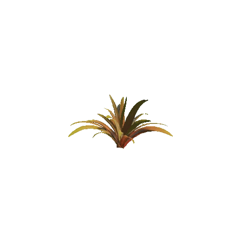 Plant_10_2