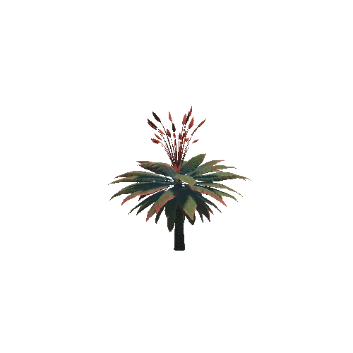 Plant_14