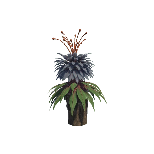 Plant_16