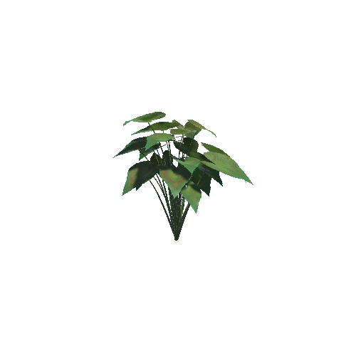 Plant_9