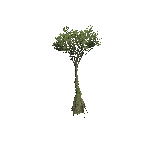 Tree_04_2