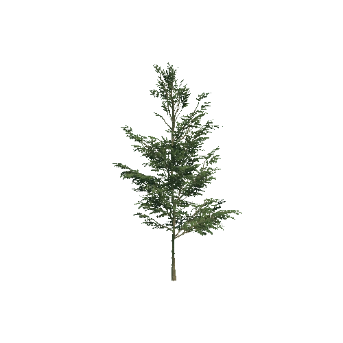 Tree_Small_07_1