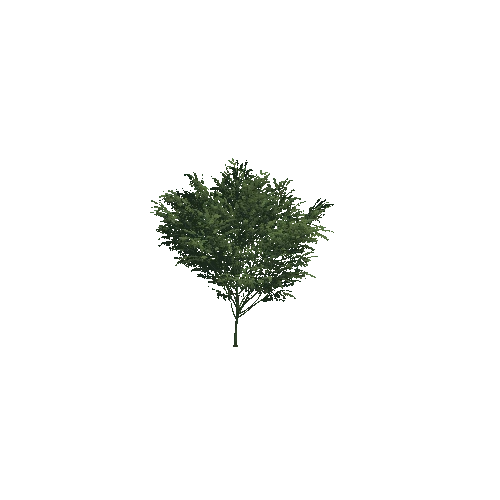 Tree_Small_07_2