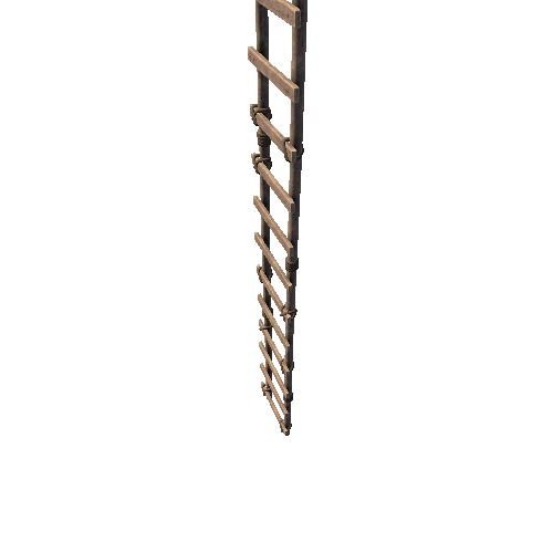 ladder