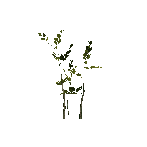 VS_prefab_beech_plant_00