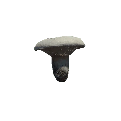 prefab_Mushroom_Lactarius_01