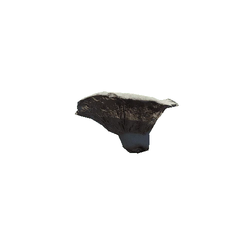 prefab_Mushroom_Lactarius_02