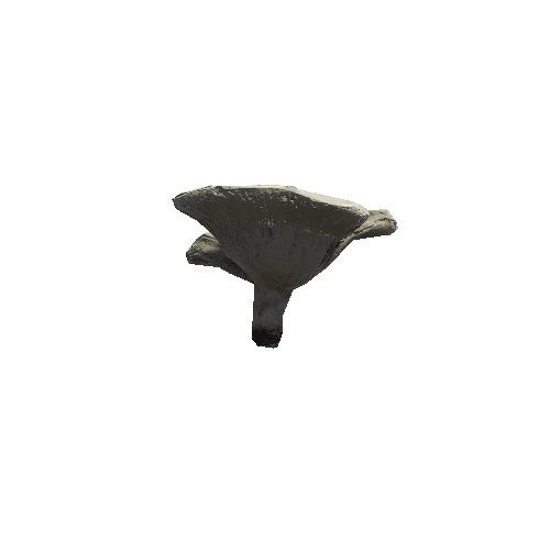 prefab_Mushroom_Lactarius_03