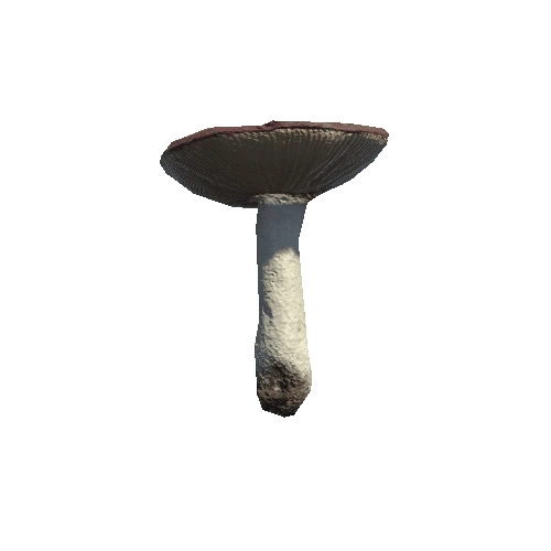 prefab_Mushroom_Russula_01