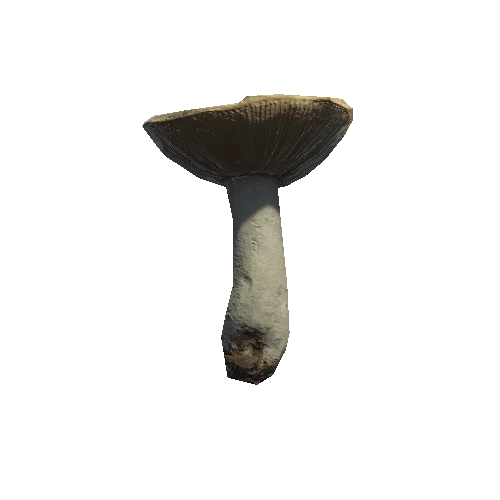 prefab_Mushroom_Russula_02