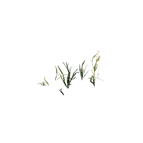 prefab_Unity_Terrain_grass_02_3