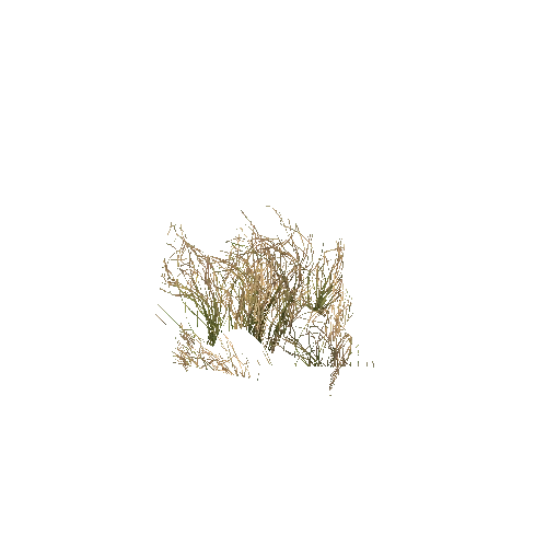 prefab_Unity_Terrain_grass_03_3