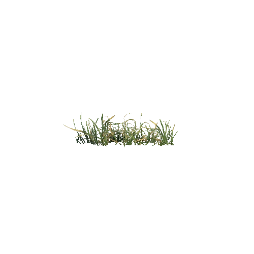 prefab_grass_02_2