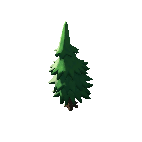 forestpack_tree_fir_tall