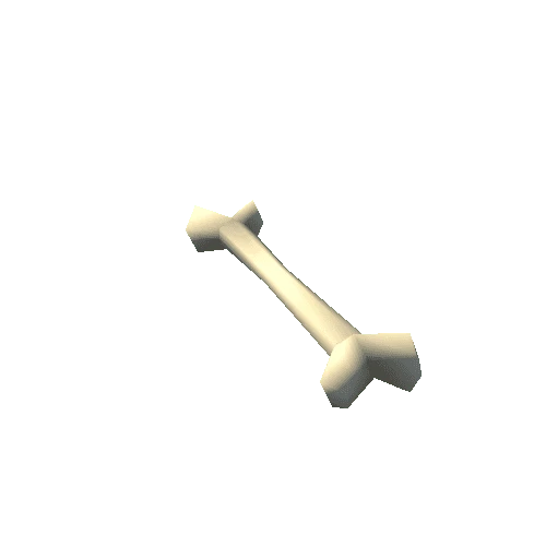 Bone_1A