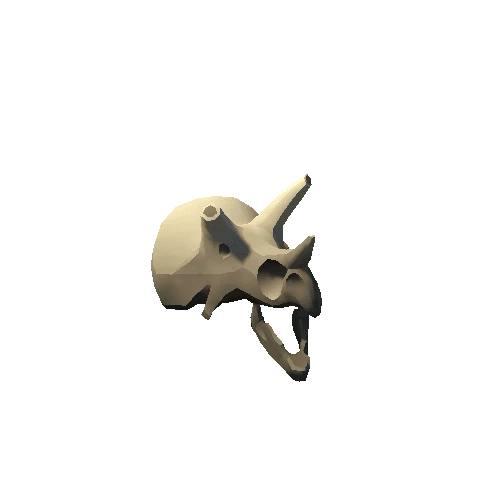 Giant_Skull_2A