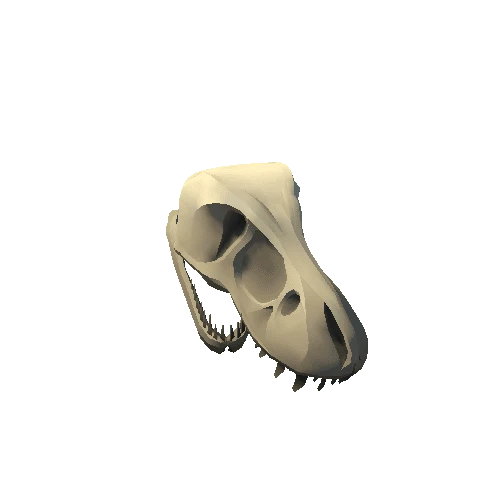 Giant_Skull_3A