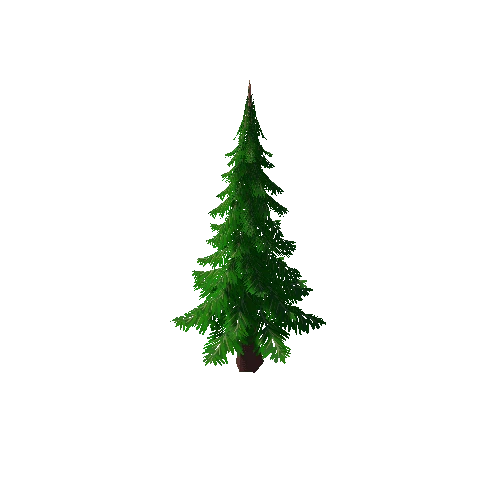 Pine_Tree_1A
