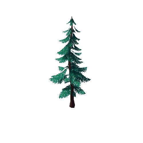 Pine_Tree_1E