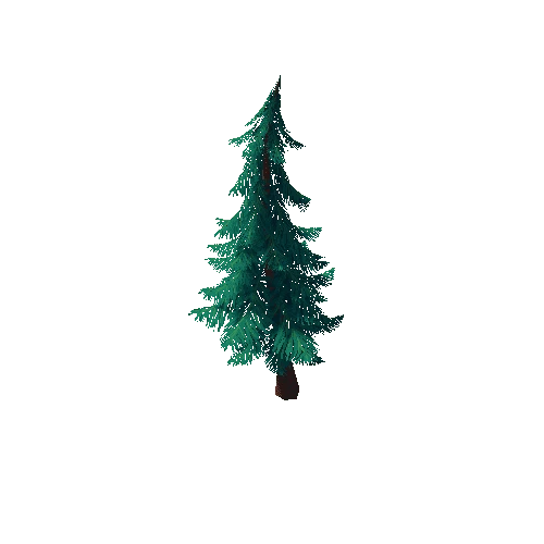 Pine_Tree_1F