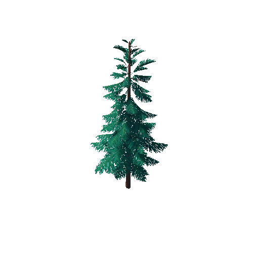 Pine_Tree_1G