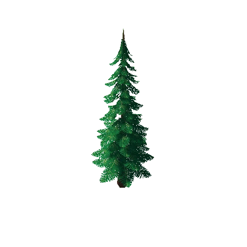Pine_Tree_2D