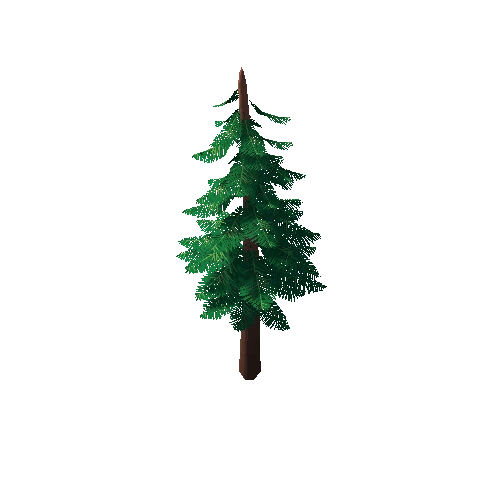 Pine_Tree_2E