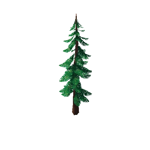 Pine_Tree_2F